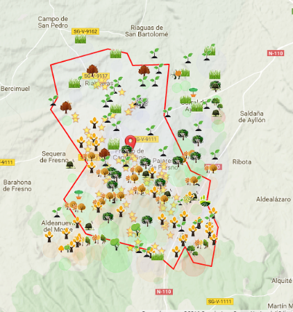 Imagen Mapa esquematico de la Flora del Término Municipal de Fresno de Cantespino