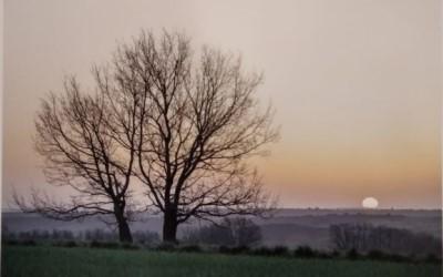 Imagen VIII Concurso de Fotografía de Fresno de Cantespino